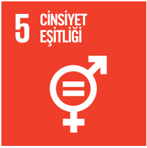Cinsiyet Eşitliği